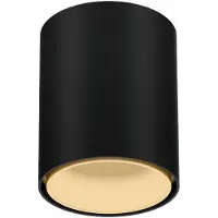 Wever & Ducre LED-Downlight RAY MINI CEILING SURF 1.0 - 3000K B-M schwarz-champagner 258254BM5 5404037364442