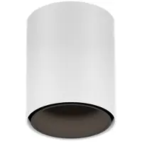 Wever & Ducre LED-Downlight RAY MINI CEILING SURF 1.0 - 3000K W-B weiß-schwarz 258254WB5 5404037364466