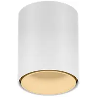Wever & Ducre LED-Downlight RAY MINI CEILING SURF 1.0 - 3000K W-M weiß-champagner 258254WM5 5404037364541