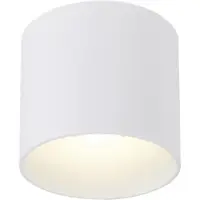 Wever & Ducre LED-Deckenaußenleuchte RAY OUTDOOR CEILING SURF 1.0 3000K W weiß 735458W5 5404037333813