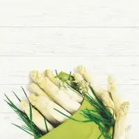 Duni GmbH 360x DUNI Bio Dunisoft Serviette 40 x 40 cm White Asparagus