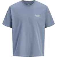 Jack & Jones Kids Jjearchive Graphic Tee Ss O-Nec Noos Jnr