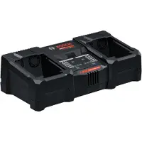 Bosch Ladegerät EXAL18V2-320