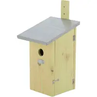 Best for birds Nistkasten zum Beobachten aus Kiefernholz