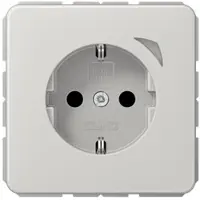 JUNG BTCD1521SELG HOME SCHUKO