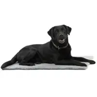 Kruuse Vet Bed, grau, 75 x 50 cm