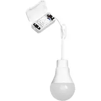 Osram Renovation Lampe Classic A75 TB
