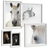 Tulup BILDER SET 5er Set - 50x50 cm & 20x30 cm & 40x60 cm Weißer Rahmen - Pferdeporträts in Schattierungen