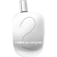 Comme des Garcons 2 Vaporizer 50ml Eau De Parfum