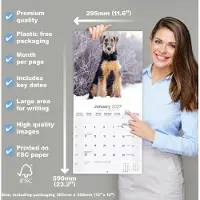 Avonside Publishing Ltd. Airedale Terrier Kalender 2027