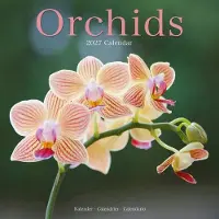 Avonside Publishing Ltd. Orchidee Kalender 2027