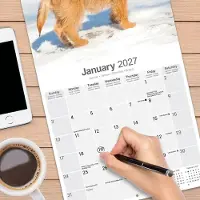 Avonside Publishing Ltd. Cairn Terrier Kalender 2027