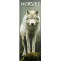 Avonside Publishing Ltd. Wölfe Kalender 2027 Slimline