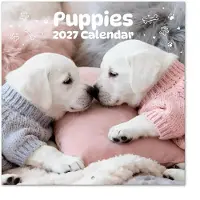 Grupo Welpen Kalender 2027