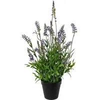 Modern Living Kunstpflanze Lavendel II Grün/Schwarz