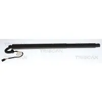TRISCAN Gasfeder, Koffer-/Laderaum 8710 29341