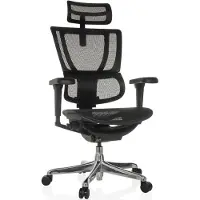 Hjh OFFICE Luxus Chefsessel ERGOHUMAN SLIM ULTRA GEN2 Ergonomischer Bürostuhl mit Armlehnen (höhenverstellbar) Netzstoff Drehstuhl für Büro, Zuhause