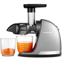 Amzchef Entsafter Gemüse und Obst - Entsafter Slow Juicer mit Rückwär