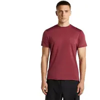 Icebreaker M Mer 125 Cool-lite Sphere III Short Sleeve Tee port (IB01C) L