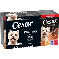 Cesar Cuisine in Sauce (Ragout) Multipack Nassfutter Hund Schale (150 g)