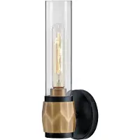 HINKLEY Elstead Ellison Wandleuchte E27 Schwarz mit Heritage-Messing Glas klar IP44
