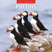 Red Robin Papageitaucher Kalender 2027
