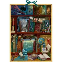 Sonstige Verlage Wand-Adventskalender - Magie der Bücher