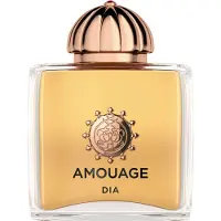 Amouage Dia Woman EDP 100 ml