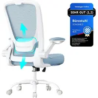 Songmics Bürostuhl ergonomisch, Drehstuhl mit Mesh, Lendenstütze, Wippfunktion, 53 cm große Sitzfläche, klappbare Armlehnen, Arbeits- und Schlafzimmer, Studenten, nebelblau OBN037Q01