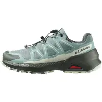 Salomon Schuhe Speedcross Peak Gtx L47974500000