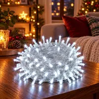 Rosikey 30M 300LEDs 8 Modi Lichterkette Strom, Timer, Merkfunktion, LED Weihnachten Lichterkette Party Deko Licht Weihnachtsbaum Garten Beleuchtung, Weiß