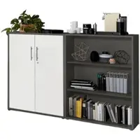 Mid.You AKTENSCHRANK OFFICE EDITION-SW SET 1 NIEDR.