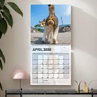 Famanu Kalender 2026 - Monatsplaner für die Familie - Zuhause Büro - Mit Katzen und Bällen - 29x23cm