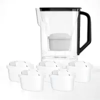 Wessper Wasserfilter Kanne für Kühlschranktür 2,7L set mit 6 filter Schwarz