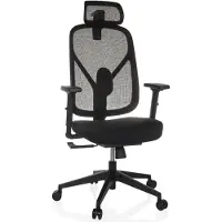 Hjh OFFICE Profi Bürostuhl RALOO ECO Ergonomischer Schreibtischstuhl mit Armlehnen (höhenverstellbar) Stoff / Netzstoff Schwarz Drehstuhl für Büro, Zuhause
