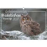 Sonstige Verlage Geheimnisvolles Waldleben 2027