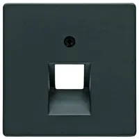 Berker ZST F.DATEND. 1F.SCHWARZ MATT (14076085 Q.X)