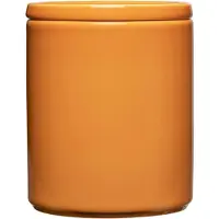 Iittala Teema Vorratsdose L amber