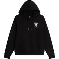 The North Face Herren Kapuzensweats lg.Arm He/Uni M APEX '75 COLLAGE RELAXED HOODIE