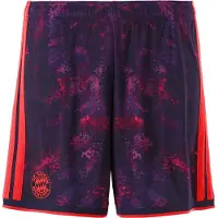 Adidas Herren Teamhose FC Bayern 26/27 Third