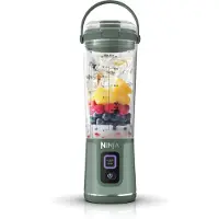 Ninja Blast Tragbarer Mixer / Blender / Smoothie Maker, 530ml Becher, Auslaufsic