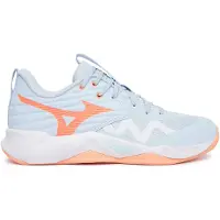 Mizuno Wave Momentum Pro Indoor-sportschuhe Für Damen Blau EU 40 Frau Blau EU 40