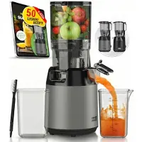 Lebenlang Slow Juicer – 250 W – Große Einfüllöffnung (130 mm) – BPA-frei – Rezeptbuch – Edelstahl
