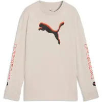 Puma Street Relaxed Longsleeve Tee B silver fog (82) 176
