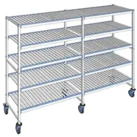 Tournus Ausstattung Fahrbares Regal mit herausnehmbaren Clayettes 5 Ebenen 175 x 253,2 x 56 cm - ALI2532R