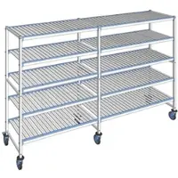 Tournus Ausstattung Fahrbares Regal mit herausnehmbaren Regalböden 5 Ebenen 175 x 283,4 x 56 cm - ALI2834R