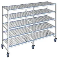 Tournus Ausstattung Fahrbares Regal mit herausnehmbaren Clayettes 5 Ebenen 175 x 243,2 x 56 cm - ALI2432R