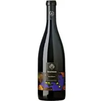 Weingut Gesellmann Blaufränkisch Hochberc 2021 BIO