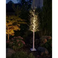 Northpoint LED Lichtbaum Birkenoptik 150cm 240 LEDs neutralweiß Lichterbaum Timer IP44 innen außen