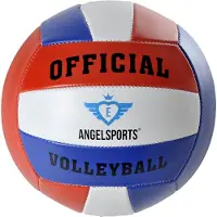 Engelhart Offizieller Volleyball in Polybeutel - Grösse 5